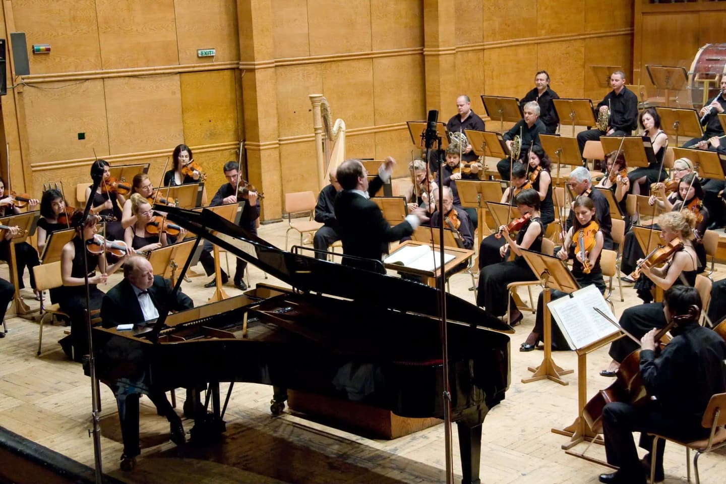 Concert photo: Symphony Concert of Ivan Drenikov & Nayden Todorov (17.06.2010)