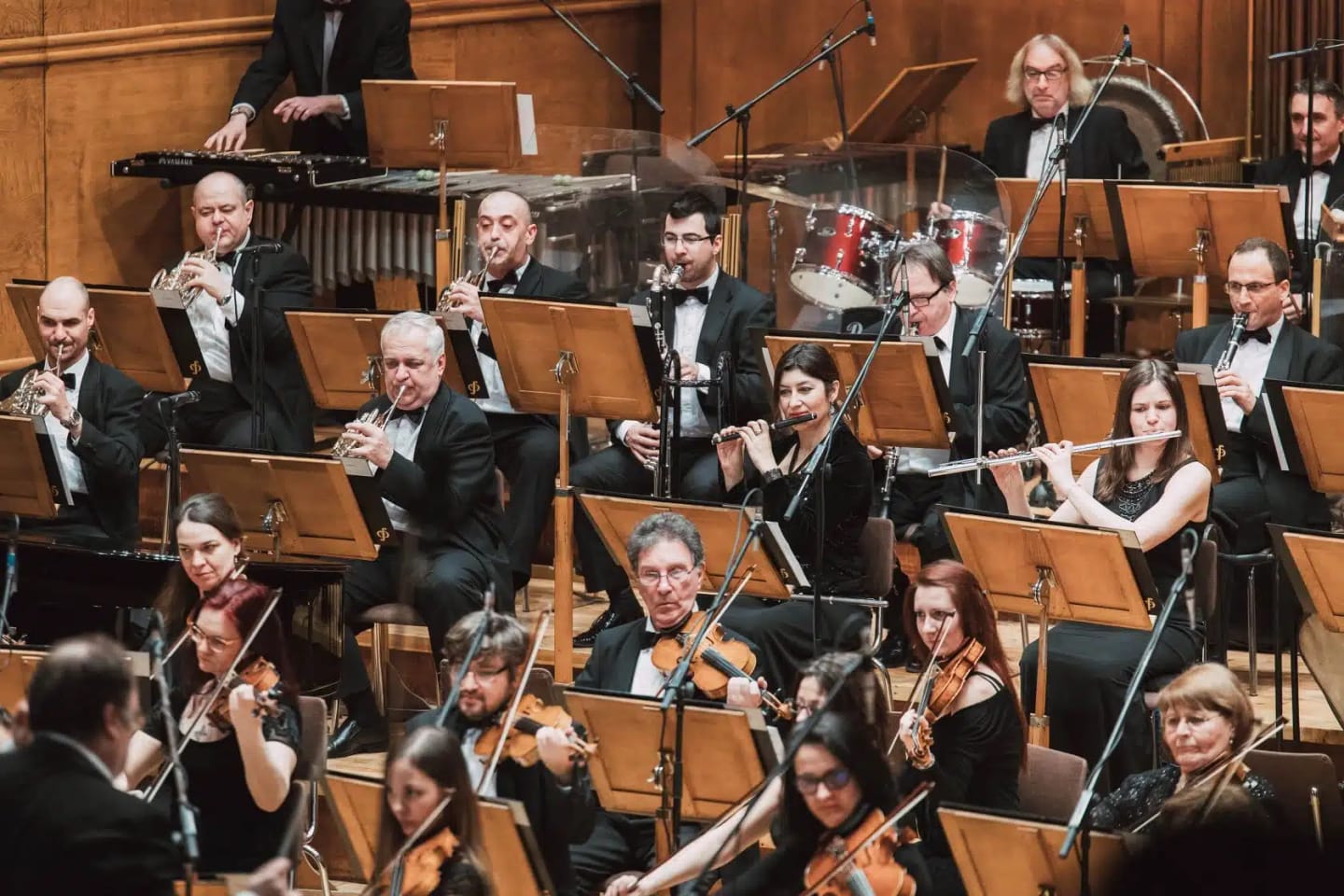 Concert photo: JAMES BOND LIVE IN CONCERT with Nayden Todorov (18.02.2018)