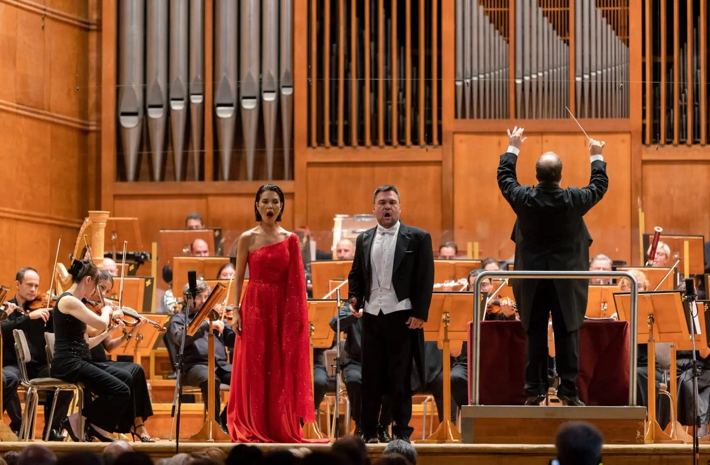 Concert photo: Operatic Masterpieces with Nayden Todorov (20.07.2023)