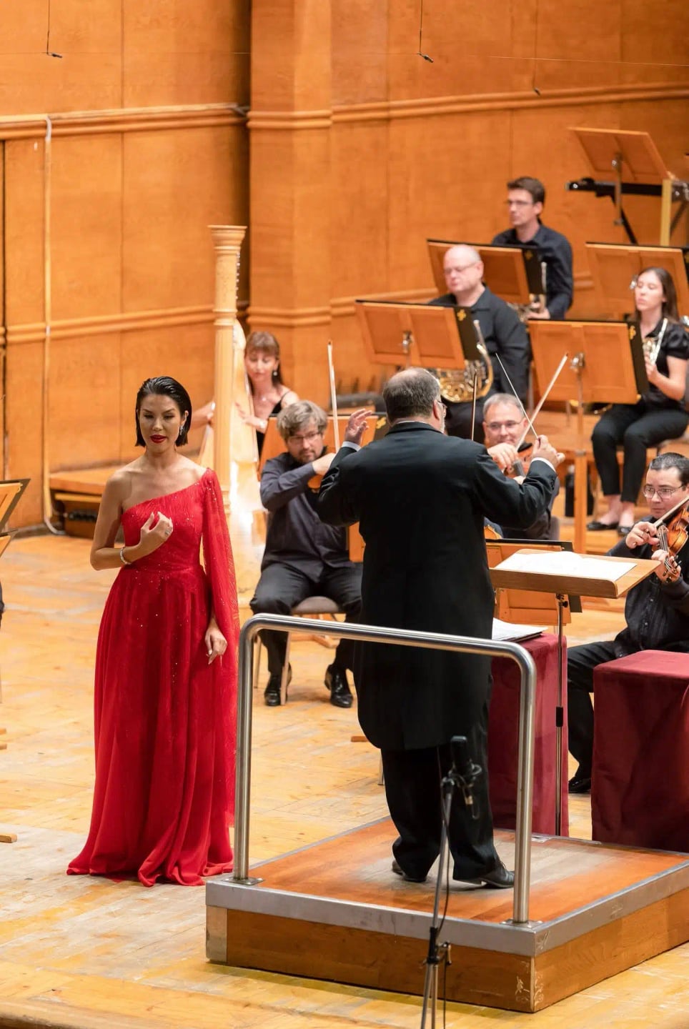 Concert photo: Operatic Masterpieces with Nayden Todorov (20.07.2023)