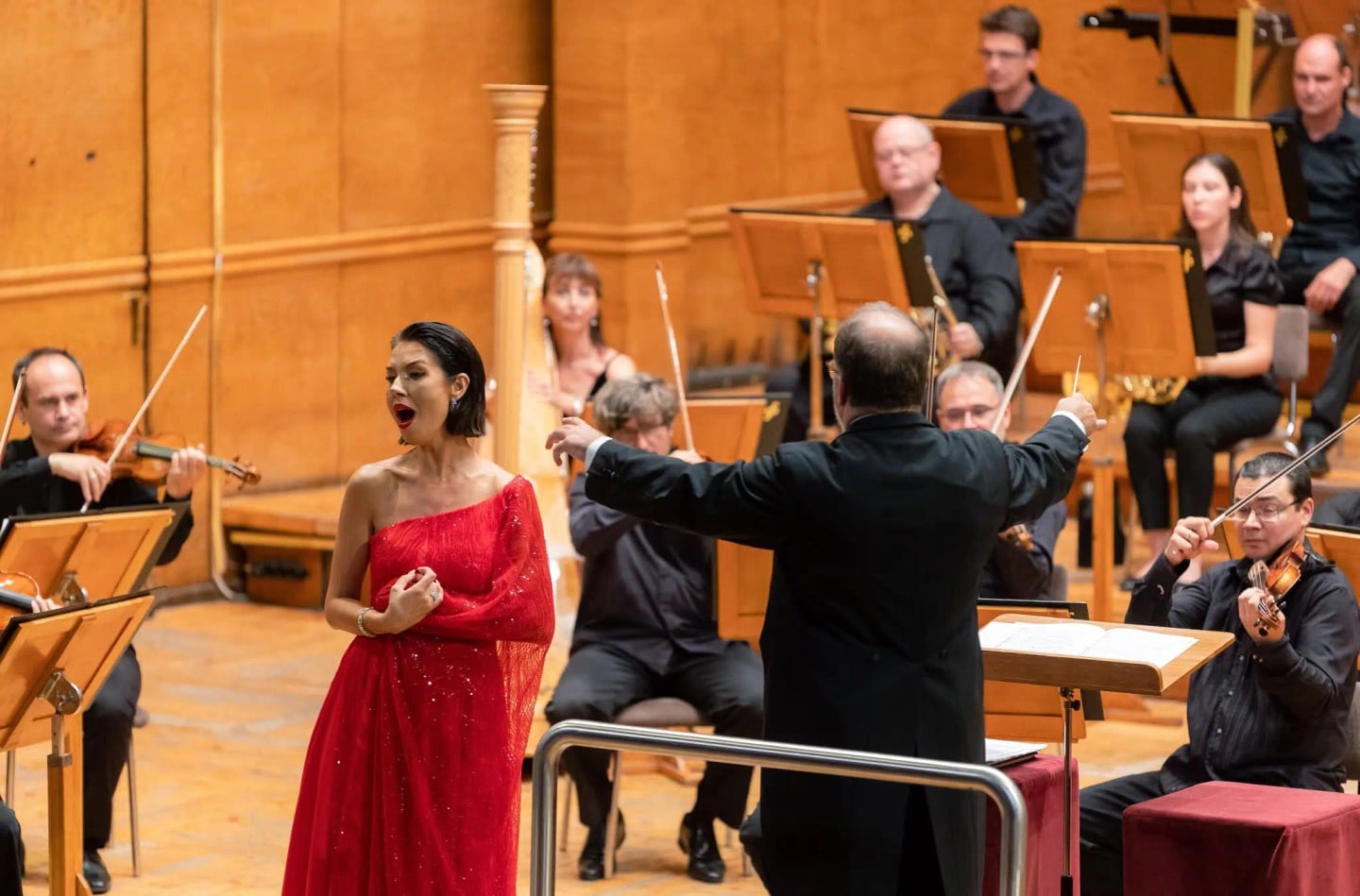 Concert photo: Operatic Masterpieces with Nayden Todorov (20.07.2023)