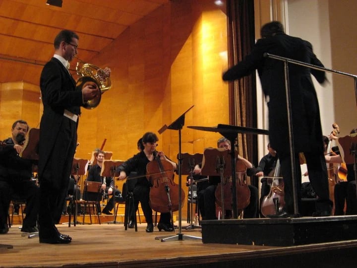 Concert photo: Philharmonic concert (01.06.2011)