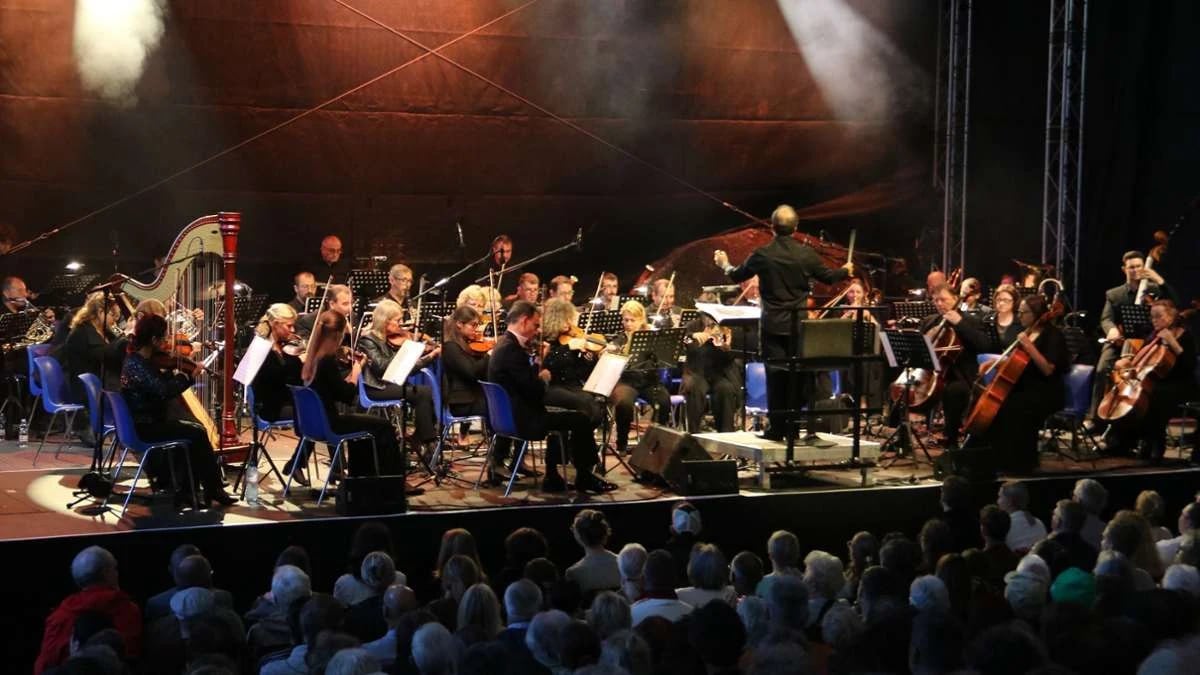 Concert photo: Film Music Night (20.08.2026)