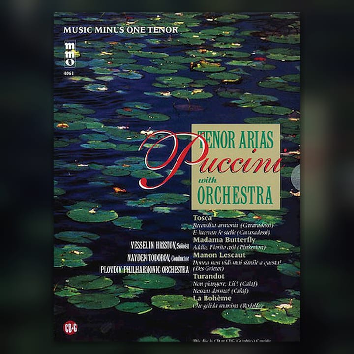 Giacomo Puccini — Non piangere, Liù! (Turandot) cover