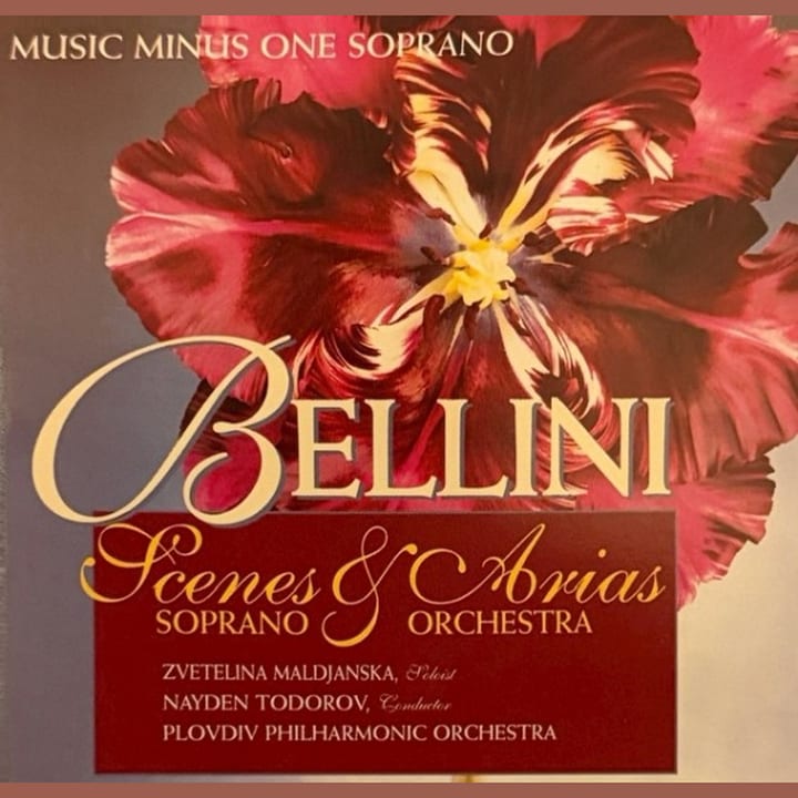 Обложка на Vincenzo Bellini — Fine al rito (Norma)
