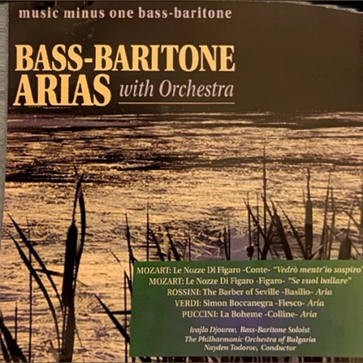 Vincenzo Bellini — Vi ravviso, o luoghi ameni (La Sonnambula) cover